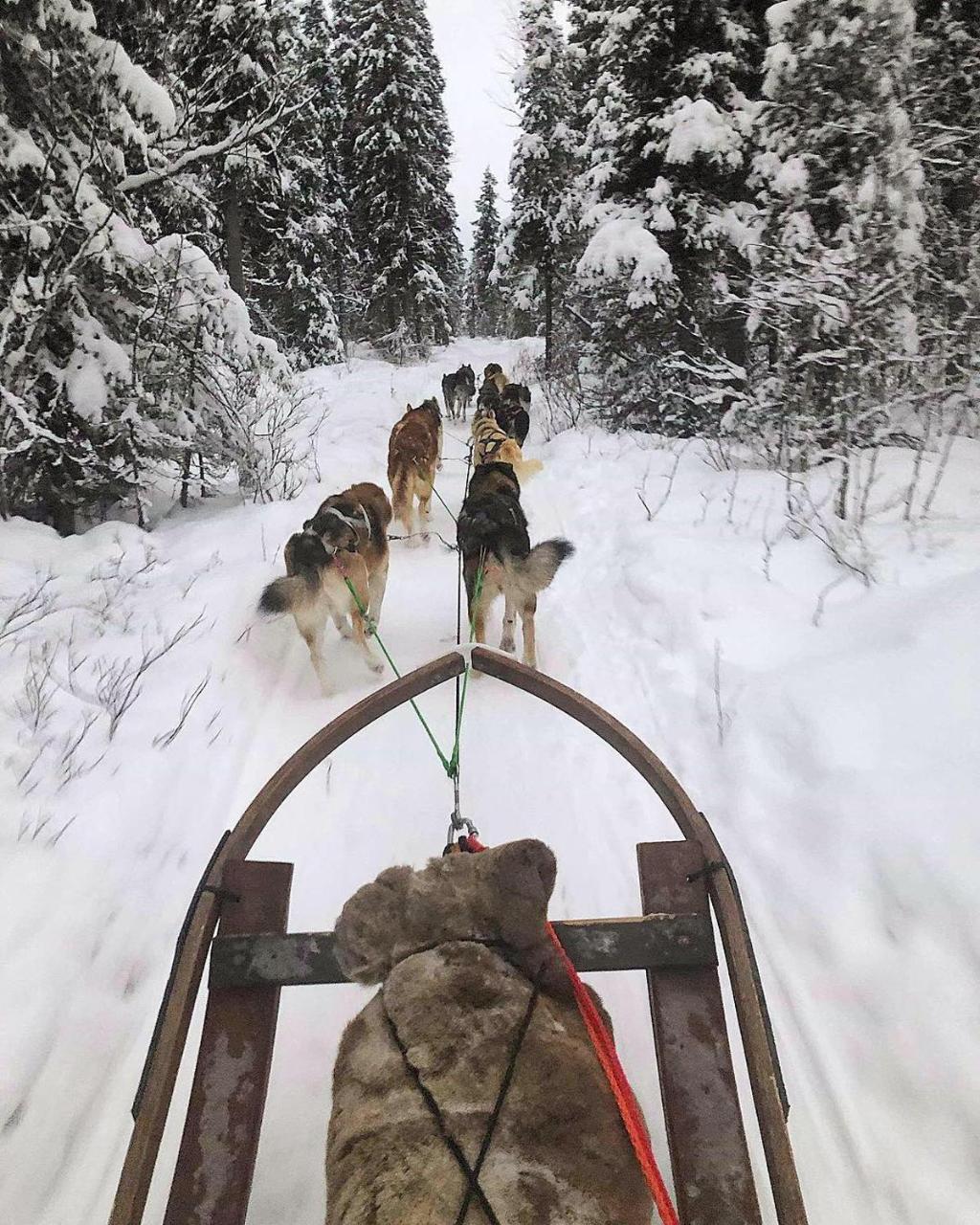 Camp Caroli Wooden Cabins Jukkasjärvi المظهر الخارجي الصورة